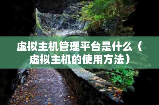 虚拟主机管理平台是什么（虚拟主机的使用方法）