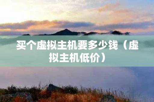 买个虚拟主机要多少钱（虚拟主机低价）