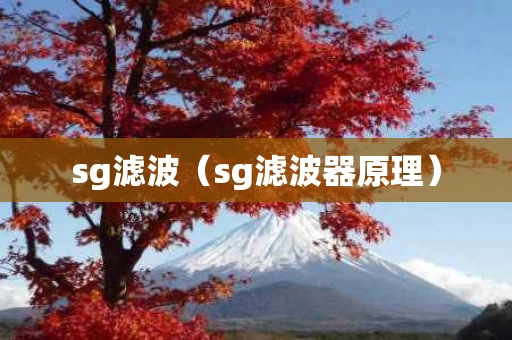 sg滤波（sg滤波器原理）