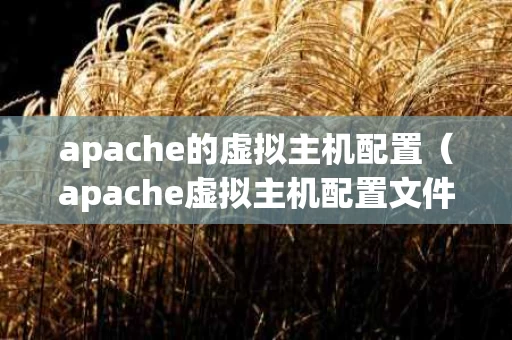 apache的虚拟主机配置（apache虚拟主机配置文件）