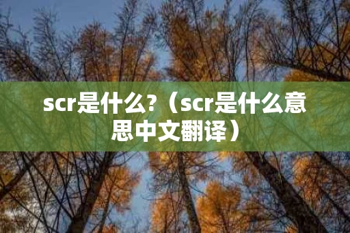 scr是什么?（scr是什么意思中文翻译）