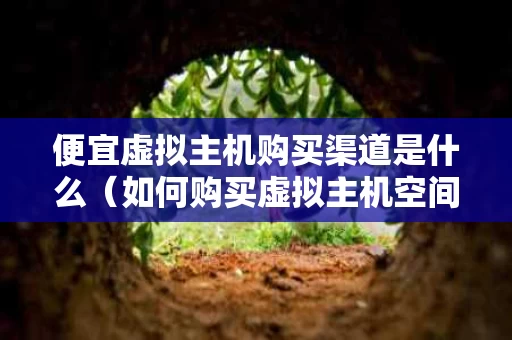 便宜虚拟主机购买渠道是什么（如何购买虚拟主机空间）