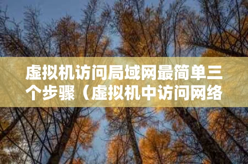虚拟机访问局域网最简单三个步骤（虚拟机中访问网络外面可以用吗）