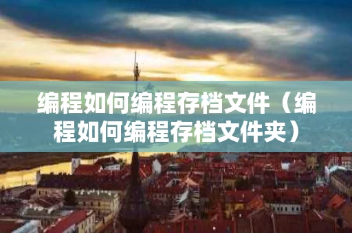 编程如何编程存档文件（编程如何编程存档文件夹）