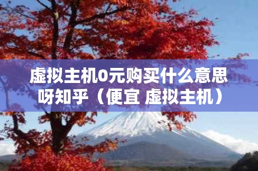 虚拟主机0元购买什么意思呀知乎（便宜 虚拟主机）
