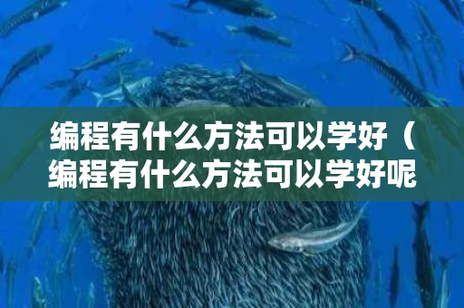 编程有什么方法可以学好（编程有什么方法可以学好呢）