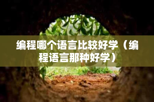 编程哪个语言比较好学（编程语言那种好学）