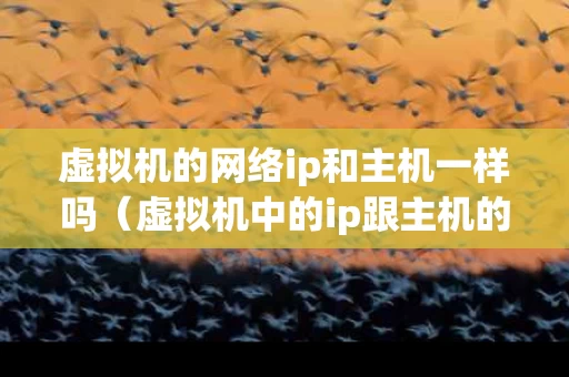 虚拟机的网络ip和主机一样吗（虚拟机中的ip跟主机的ip可以一样吗）