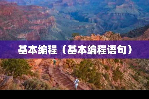 基本编程（基本编程语句）