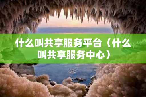 什么叫共享服务平台（什么叫共享服务中心）