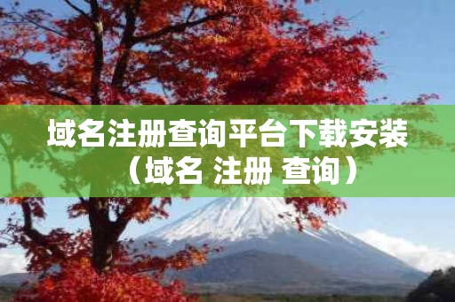 域名注册查询平台下载安装（域名 注册 查询）