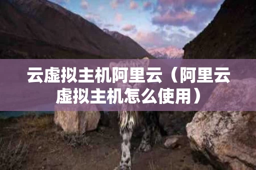 云虚拟主机阿里云（阿里云虚拟主机怎么使用）