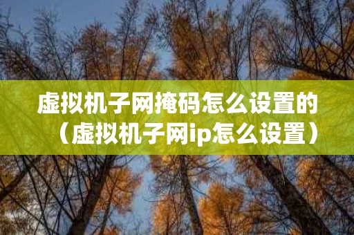 虚拟机子网掩码怎么设置的（虚拟机子网ip怎么设置）