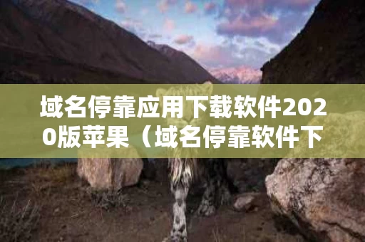域名停靠应用下载软件2020版苹果（域名停靠软件下载网站破解版）