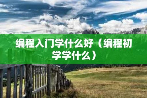 编程入门学什么好（编程初学学什么）
