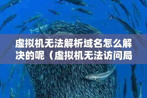 虚拟机无法解析域名怎么解决的呢（虚拟机无法访问局域网）