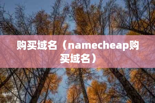 购买域名（namecheap购买域名）