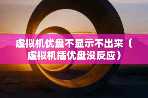 虚拟机优盘不显示不出来（虚拟机插优盘没反应）