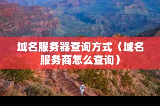 域名服务器查询方式（域名服务商怎么查询）