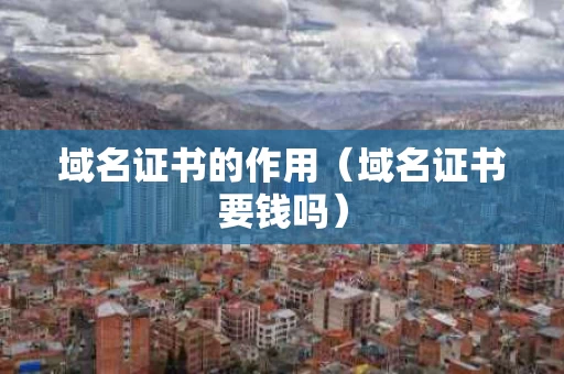域名证书的作用（域名证书要钱吗）