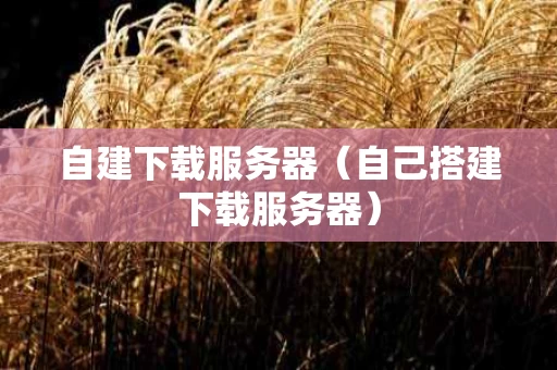自建下载服务器（自己搭建下载服务器）