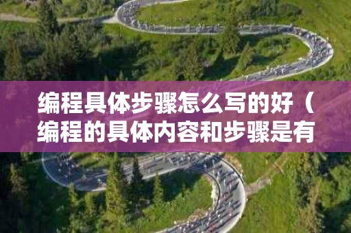 编程具体步骤怎么写的好（编程的具体内容和步骤是有哪些）