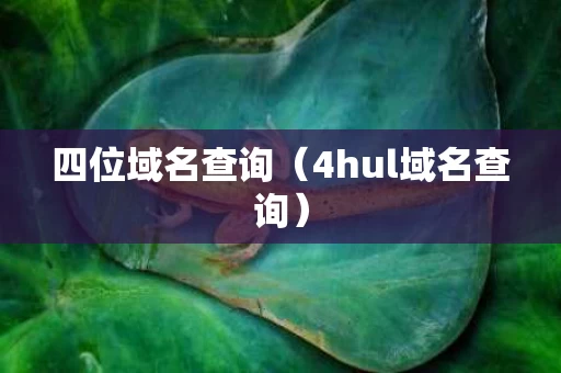 四位域名查询（4hul域名查询）