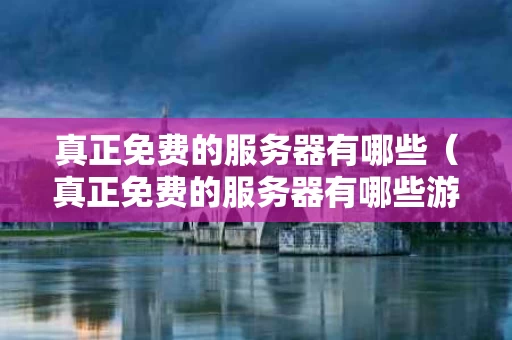 真正免费的服务器有哪些（真正免费的服务器有哪些游戏）