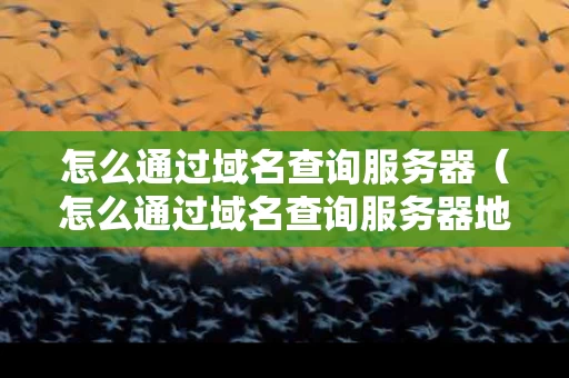 怎么通过域名查询服务器（怎么通过域名查询服务器地址）