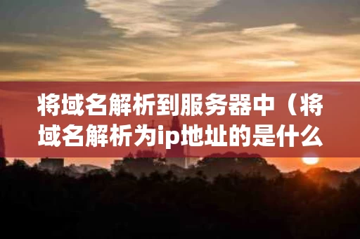 将域名解析到服务器中（将域名解析为ip地址的是什么服务器）