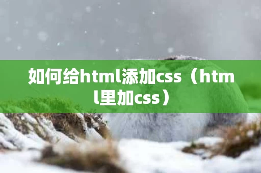 如何给html添加css（html里加css）