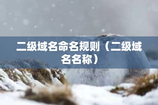 二级域名命名规则（二级域名名称）