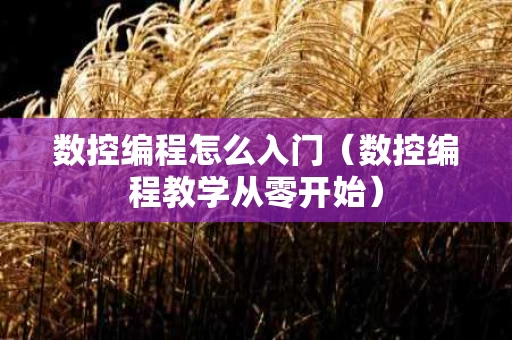 数控编程怎么入门（数控编程教学从零开始）