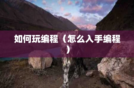 如何玩编程（怎么入手编程）