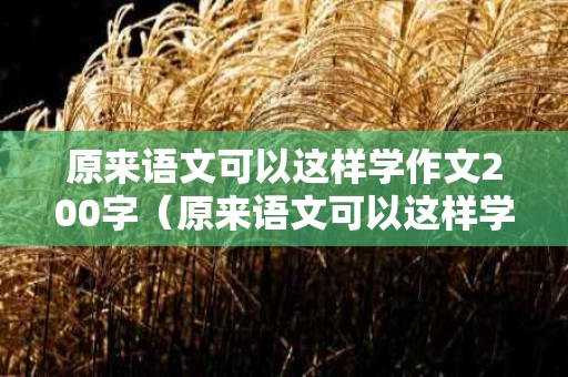 原来语文可以这样学作文200字（原来语文可以这样学600字）