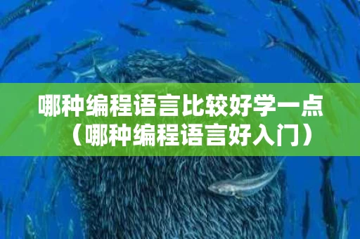 哪种编程语言比较好学一点（哪种编程语言好入门）