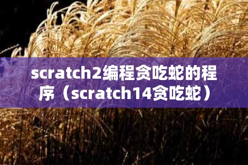 scratch2编程贪吃蛇的程序（scratch14贪吃蛇）