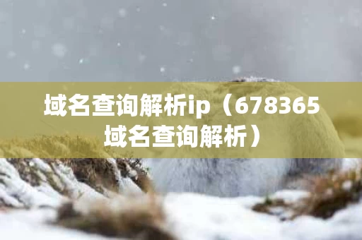 域名查询解析ip（678365域名查询解析）