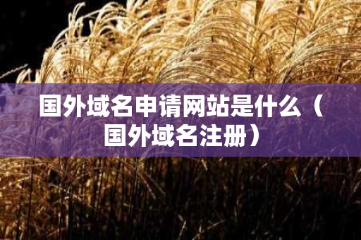 国外域名申请网站是什么（国外域名注册）