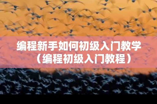 编程新手如何初级入门教学（编程初级入门教程）