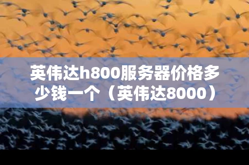 英伟达h800服务器价格多少钱一个（英伟达8000）