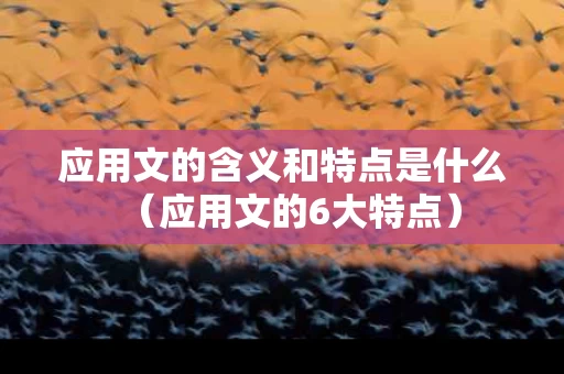 应用文的含义和特点是什么（应用文的6大特点）