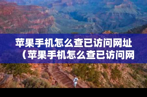 苹果手机怎么查已访问网址（苹果手机怎么查已访问网址记录）