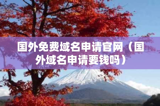 国外免费域名申请官网（国外域名申请要钱吗）