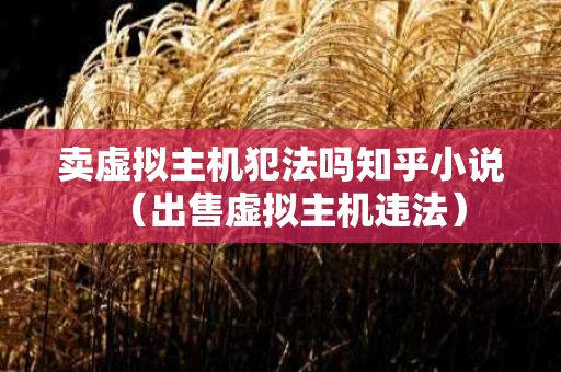 卖虚拟主机犯法吗知乎小说（出售虚拟主机违法）
