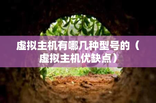 虚拟主机有哪几种型号的（虚拟主机优缺点）