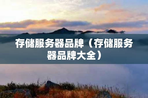 存储服务器品牌（存储服务器品牌大全）