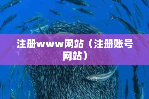 注册www网站（注册账号网站）