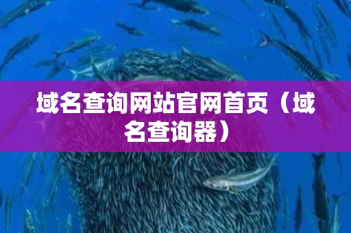 域名查询网站官网首页（域名查询器）