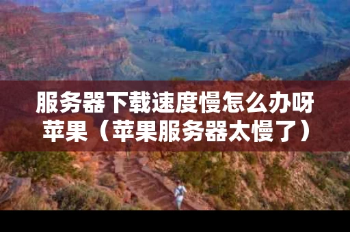 服务器下载速度慢怎么办呀苹果（苹果服务器太慢了）
